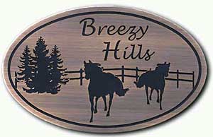 Bronze Plaques, FREE shipping on orders OVER $750 , Fast 8 Days, Low Prices, Memorial Plaques, 3d Photo Engraved Bronze, Outdoor Garden Plaques, Brass, Aluminum, Etched Bronze Plaques, Cast metal Plaque, Stainless Steel